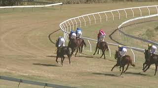 Yeppoon 20240803 Race 1 [upl. by Valleau]