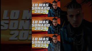 MIX REGGAETON 2024 🌴 NUEVAS CANCIONES DE VERANO 2024 🌴 [upl. by Jenny]