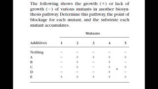 Biochem Pathway Analysis part 1 [upl. by Alliw]