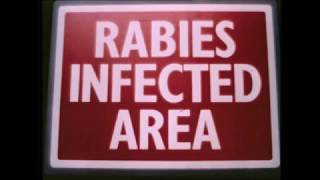 Rabies Outbreak Public Information Film PIF 1976 [upl. by Haidebez]