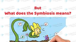 Symbiotic Association between the roots of Leguminous plants and Rhizobium bacteria [upl. by Ratha]