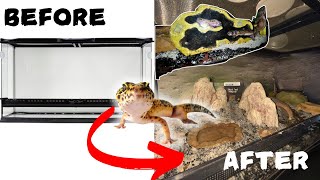 Transforming My Leopard Gecko Enclosure Into a Bioactive Desert [upl. by Nathanil232]