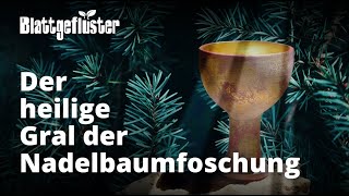 Geklonte Babyweihnachtsbäume und der heilige Gral der Nadelbaumforschung [upl. by Semadar]