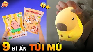 🔥 9 Bí Ẩn Ly Kỳ và Thú Vị về Hộp Mù Túi Mù Trào Lưu Art Toys Khiến Giới Trẻ Cực Mê I Kính Lúp TV [upl. by Aindrea916]