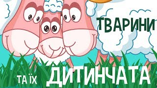 ТВАРИНИ та їх ДИТИНЧАТА  Тварин для дітей  мультфільми українською мовою З любовю [upl. by Valentino]