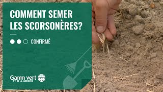 TUTO Comment semer les scorsonères  Jardinerie Gamm vert [upl. by Anaihsat]