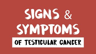 Testicular Cancer Signs amp Symptoms [upl. by Ljoka]