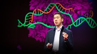 Can we cure genetic diseases by rewriting DNA  David R Liu [upl. by Retsev]