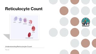 Reticulocyte Test Uses and Interpretation [upl. by Yecart]