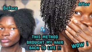 THIS METHOD BROUGHT MY HAIR BACK TO LIFE  I tried the MAXIMUM HYDRATION METHOD and I’m speechless [upl. by Acie]