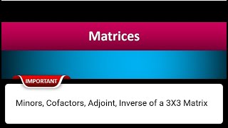 Minors Cofactors Adjoint Inverse of a 3X3 Matrix  Class 12th Hindi [upl. by Madancy468]