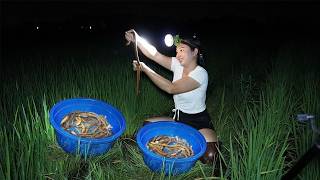 How a Vietnamese girl works hard to earn extra income by trapping eels and crabs at night  Ms Thuy [upl. by Neeven146]