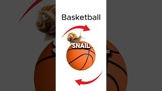 Snail 🐌 vs Bullet 💨 Epic Race—Basketball 🏀 vs Space Station 🛰️ [upl. by Aralk553]