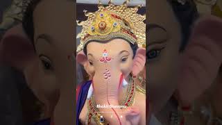 Jai Ganesh Deva l Shri Ganesha Deva shortvideo viralshorts ganesh [upl. by Chappy513]