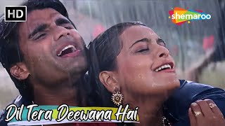 Dil Tera Deewana Hai  Sunil Shetty amp Shilpa Shirodkar  Kumar Sanu Hit Love Songs  Raghuveer Songs [upl. by Kakalina642]