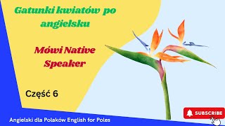 Fiszki kwiaty po angielsku Część 6 film interaktywny Mówi Native Speaker [upl. by Kassia362]