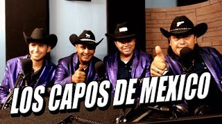 Los Capos de México  Entrevista [upl. by Earaj]