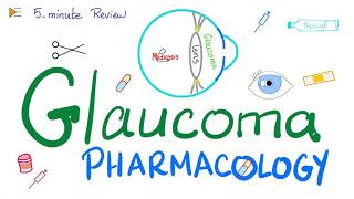 Glaucoma Pharmacology  5Minute Review [upl. by Euqinomad]