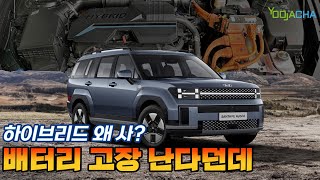 하이브리드 모르고 사면 폭탄  꼭 알아 두세요 [upl. by Abdul]