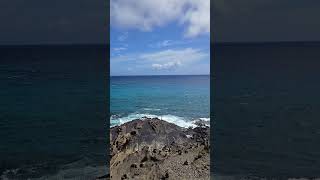 Oahu Island Hawaii shores from higher ground oahuhawaii hawaii ouahu [upl. by Parsifal]