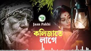 কলিজাতে লাগে।।Kolijate Lage।। Ruhul Bangla ২০২৪ New Sad gan [upl. by Yllime]