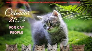 Cats Calendar 2024 13 pages [upl. by Dacey275]