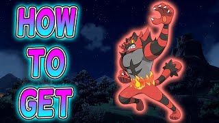 Where To Find Litten Torracat and Incineroar In Pokemon Scarlet amp Violet DLC [upl. by Nottirb]