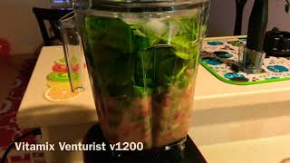 Vitamix Venturist  Smoothie 2 [upl. by Attenna]