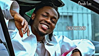 Omah Lay  Understand Official Music Video [upl. by Nebur]