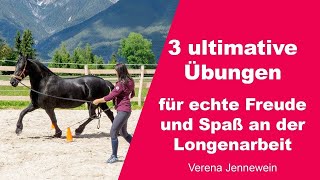 Erfahre wie dein Pferd zu einem motivierten und bewegungsfreudigen Partner beim longieren wird [upl. by Tenenbaum489]