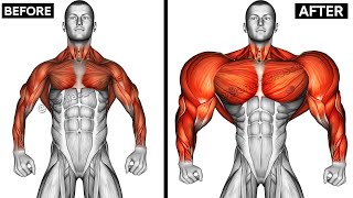 UPPER BODY WORKOUT WITH DUMBBELLS Shoulderforearmschesttricepsbackbiceps [upl. by Lacym]