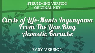 Circle of Life  Nants Ingonyama From The Lion King Acoustic Karaoke [upl. by Yesdnyl]