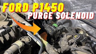 Ford Code P1450  Unable to Bleed Fuel Tank Vaccum  Fusion F150 Focus Explorer  Purge Valve [upl. by Sternick]