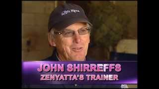 Zenyatta Race Horse Feature  Zenyatta A Living Legend [upl. by Retse]