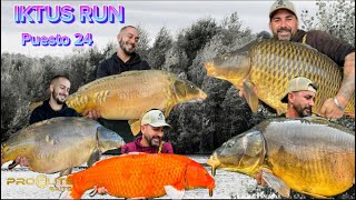 Carpfishing IKTUS RUN Puesto 24 [upl. by Nari150]