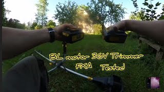 Cheap bought FXA Trimmer 36V BL electro motor test works garden [upl. by Firmin963]