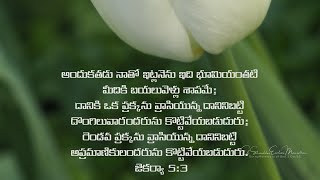 Zechariah 53 ytshorts bible telugu biblestudy meditation motivation love flowers flower [upl. by Egwan]