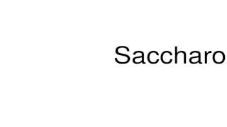 How to pronounce Saccharomycetes [upl. by Poree]