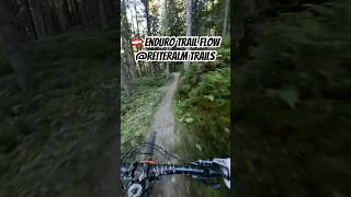 🇦🇹🏔️ Enduro Trail Flow reiteralm trails  mountainbiking mtb gopropov enduromtb [upl. by Atnas]