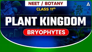 𝐏𝐋𝐀𝐍𝐓 𝐊𝐈𝐍𝐆𝐃𝐎𝐌 𝐂𝐋𝐀𝐒𝐒 𝟏𝟏  BOTANY BRYOPHYTES  NEET SANJEEVANI BATCH  BOTANY BY SANKALP BHARAT [upl. by Norred]