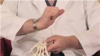 Hand amp Foot Pain  Easy Strengthening Exercises for Carpal Tunnel [upl. by Yenreit]