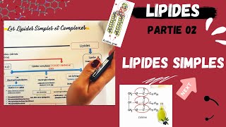 📣3 Les Lipides Partie 02  Les Lipides Simples Triglycerides اقوى شرح لللبيدات😍 LIPIDS [upl. by Brian]