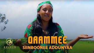 Siinboonee Addunyaa  Qaammee  Ethiopian Oromo Music 2020 Official Video [upl. by Candi561]