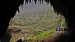 Explorando Nuestra Isla  Cavernas del Río Camuy [upl. by Alli]