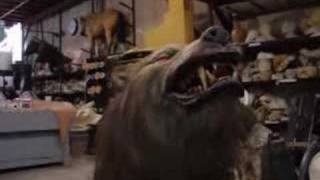 Creature Effects Inc 300 wolf [upl. by Carrillo]