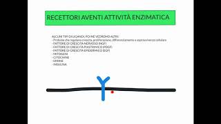 CORSO DI BIOLOGIA CELLULARE 1  LEZIONE 15 DI 23  RECETTORI AD ATTIVITA ENZIMATICA  PARTE 1 [upl. by Shore]