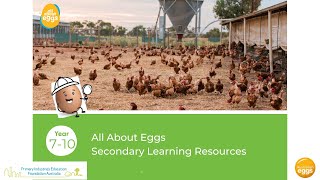 All About Eggs Secondary Learning Resources  Teacher Professional Development Webinar [upl. by Natsyrt60]