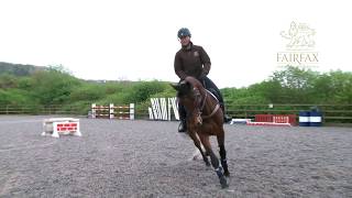 Emilie Chandler Masterclass in Minutes no 6  Fences on shallow loop [upl. by Dorelia]