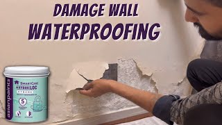 DIY Damp Proofing  A Step by Step Guide With Kate McKee [upl. by Rosmarin481]