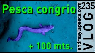 PESCA DE CONGRIO Y BROTOLA  SPYDRO quotNIKO MALLORCAquot [upl. by Durr29]